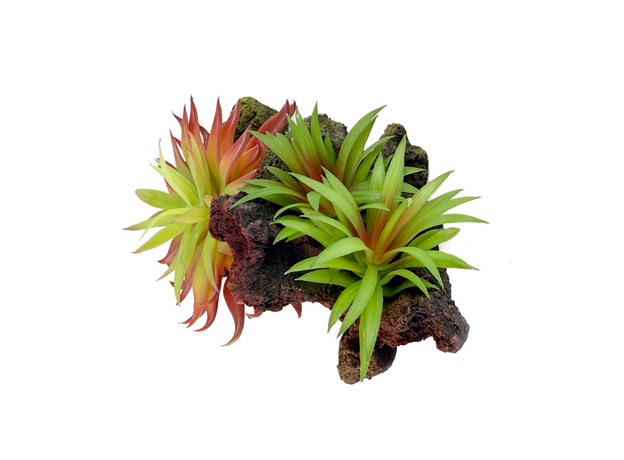 Декорация Риф с растениями 20х10х10