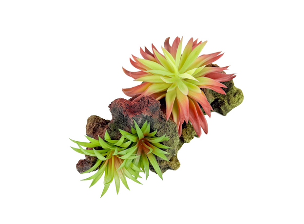 Декорация Риф с растениями 20х10х10