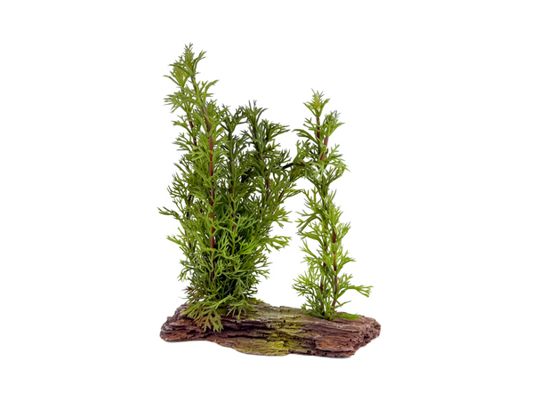 К-5/13 Камень мадагаскар