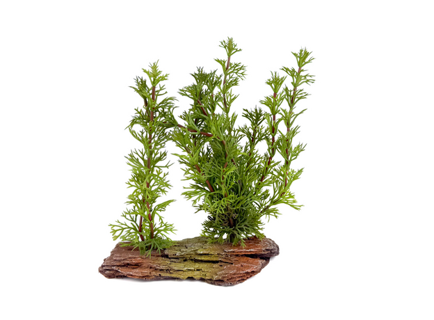 К-5/13 Камень мадагаскар