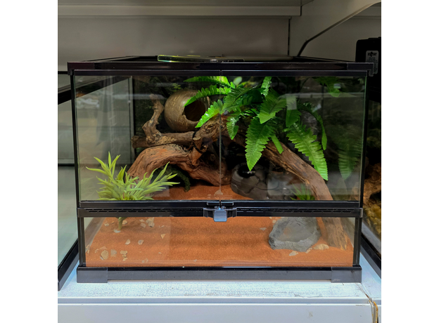 Террариумный комплект "Монтеверде" Террариумный комплект "Монтеверде"