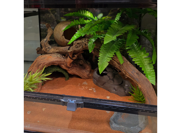 Террариумный комплект "Монтеверде" Террариумный комплект "Монтеверде"