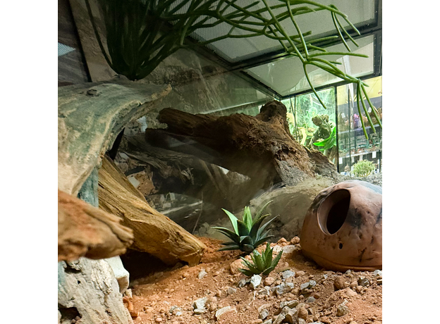 Террариумный комплект "Ущелье Тодра" Террариумный комплект "Ущелье Тодра"