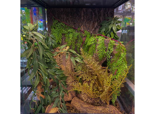 Террариумный комплект "Запретный лес " Террариумный комплект "Запретный лес "