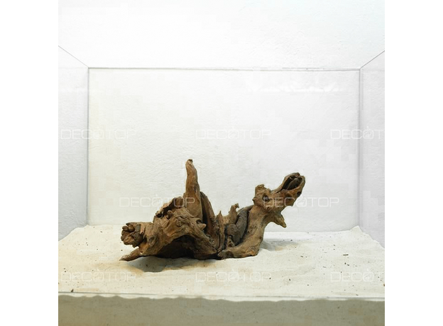 DECOTOP Sumatra XXXXS - Натуральная коряга 8-20 см для аквариумов от 1 л DECOTOP Sumatra XXXXS - Натуральная коряга 8-20 см для аквариумов от 1 л