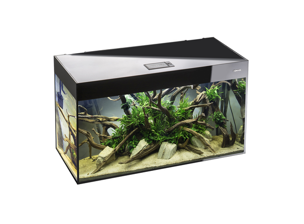 Аквариум AQUAEL GLOSSY 100 D&N черный, 215 л (ПОД ЗАКАЗ)