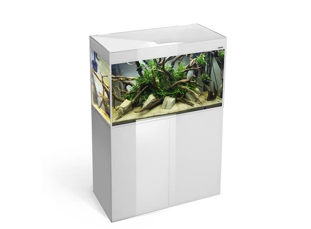 Аквариум AQUAEL GLOSSY 80 D&N белый, 125 л, из стекла триплекс (ПОД ЗАКАЗ)