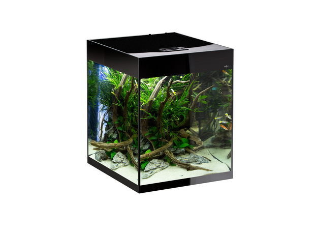 Аквариум AQUAEL GLOSSY 50 D&N черный, 135 л, высокий (ПОД ЗАКАЗ)