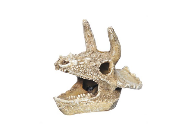Декорация Prime Череп трицератопса 14,3х12х9,7