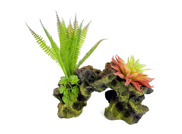 Декорация Риф с растениями 25х10х20