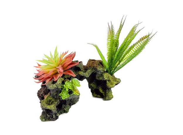 Декорация Риф с растениями 25х10х20