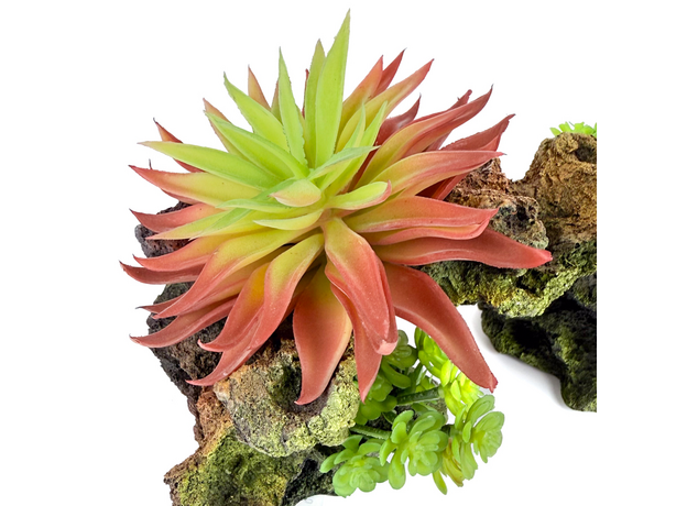 Декорация Риф с растениями 25х10х20