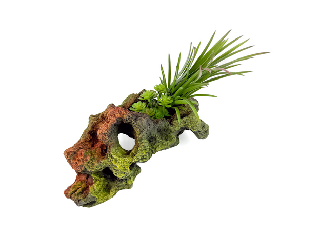 Декорация Риф с растениями 21х12х22