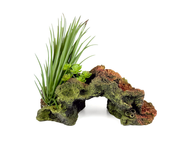 Декорация Риф с растениями 21х12х22