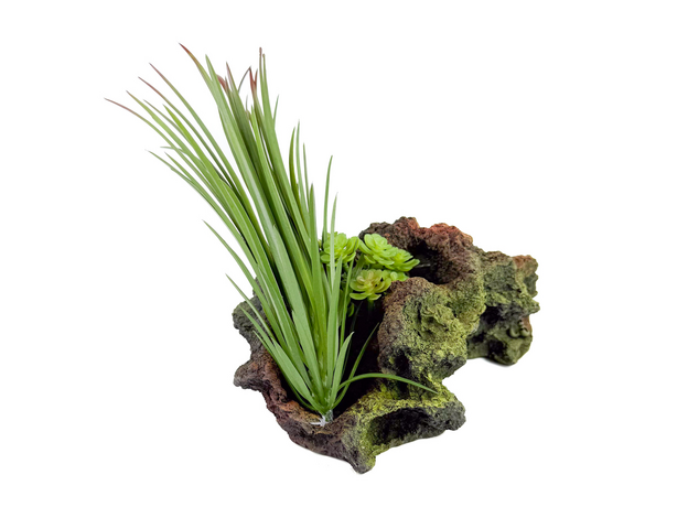 Декорация Риф с растениями 21х12х22