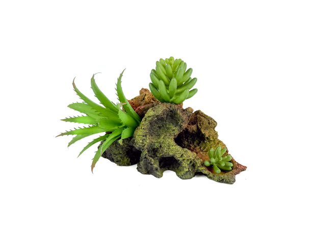 Декорация Риф с растениями  17х11х10