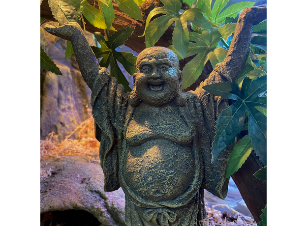 Террариумный комплект "Дары Будды" Террариумный комплект "Дары Будды"