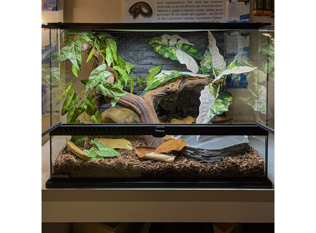 Террариумный комплект "Махарани"