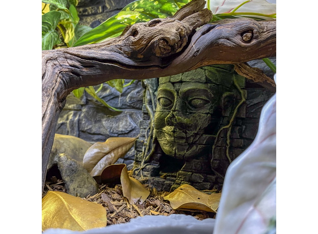 Террариумный комплект "Махарани"