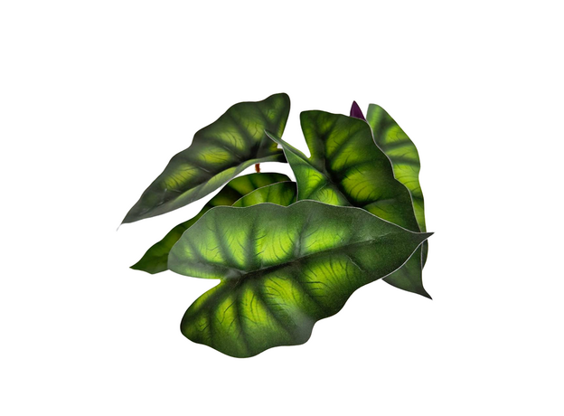 Ветка малая