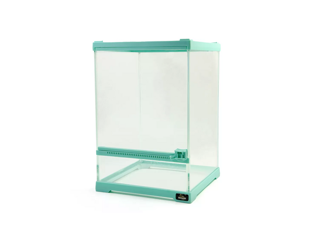 MCLANZOO Террариум стеклянный c одной дверцей, бирюзовый, 25.4х25.4хН35см