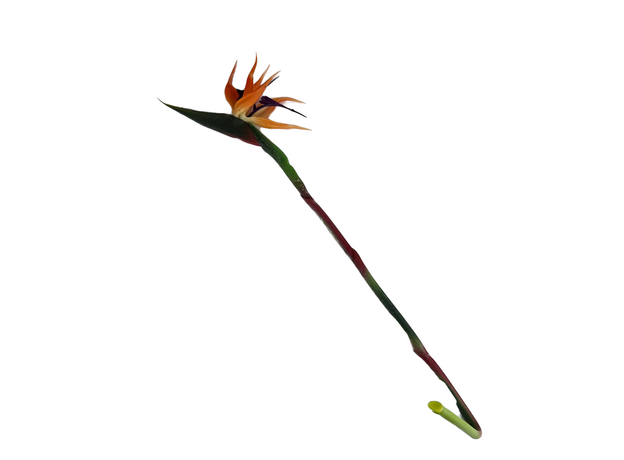 Стрелиция цветущая искусственная