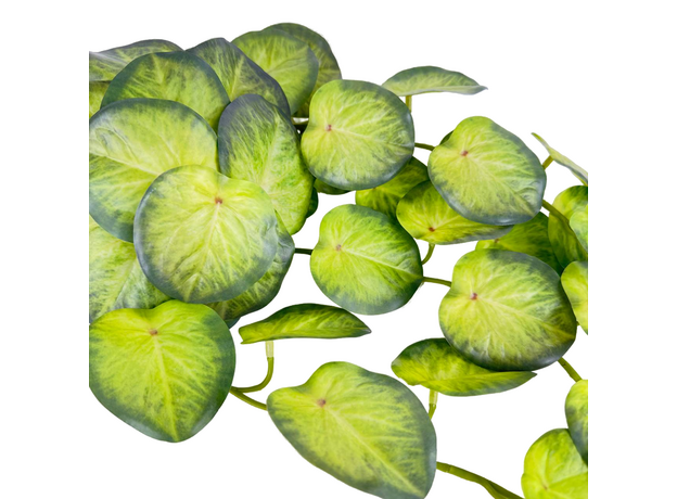 Пеперомия искусственная ампельная, 70 см