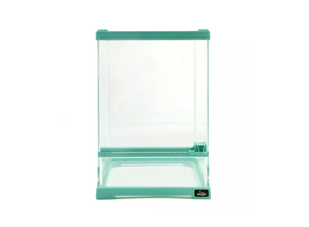 MCLANZOO Террариум стеклянный c одной дверцей, бирюзовый, 25.4х25.4хН35см