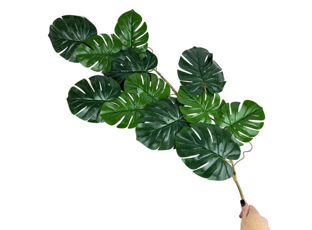 Монстера лиана 90 см