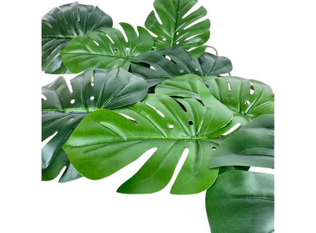 Монстера лиана 90 см