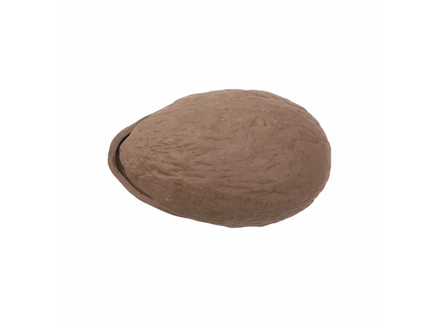 Laguna TERRA Укрытие для рептилий "Миндаль" M, 185*100*93мм