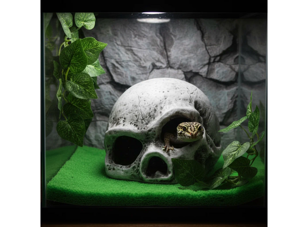 Laguna TERRA Укрытие для рептилий "Череп", 154*125*98мм