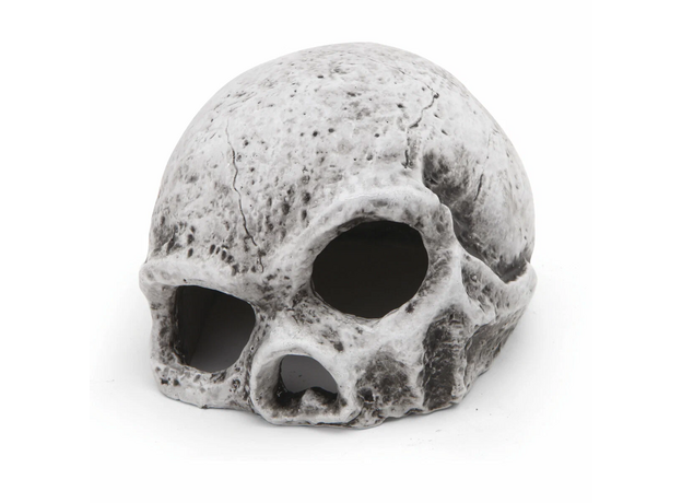 Laguna TERRA Укрытие для рептилий "Череп", 154*125*98мм