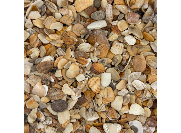 Грунт натуральный НИЛПА РАКУШКА МОРСКАЯ 10-20мм 1.5л/2.2кг Грунт натуральный НИЛПА РАКУШКА МОРСКАЯ 10-20мм 1.5л/2.2кг