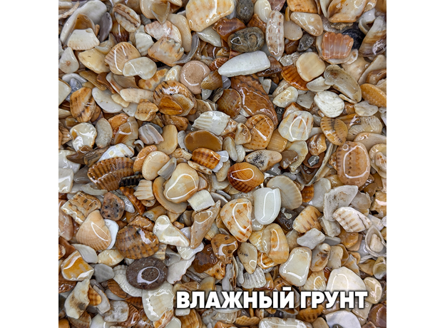 Грунт натуральный НИЛПА РАКУШКА МОРСКАЯ 10-20мм 1.5л/2.2кг Грунт натуральный НИЛПА РАКУШКА МОРСКАЯ 10-20мм 1.5л/2.2кг
