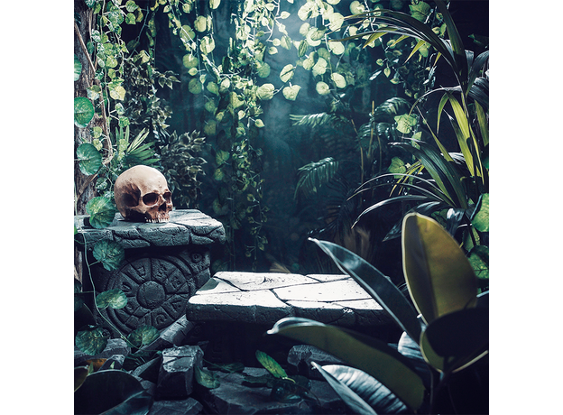 Фон для террариума Майя 60х60 см