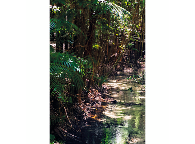 Фон для террариума Ручей в джунглях 30х45 см