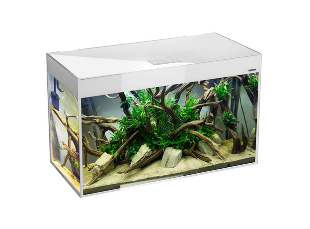 Аквариум AQUAEL GLOSSY 100 D&N белый, 215 л, стекло триплекс (ПОД ЗАКАЗ)