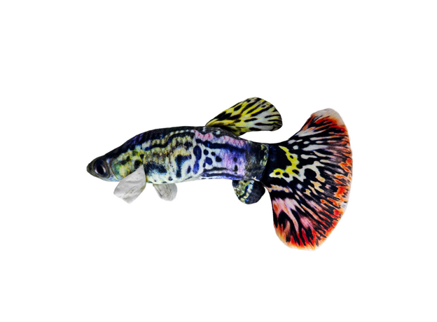 Игрушка мягкая Рыбка Гуппи М, в ассортименте