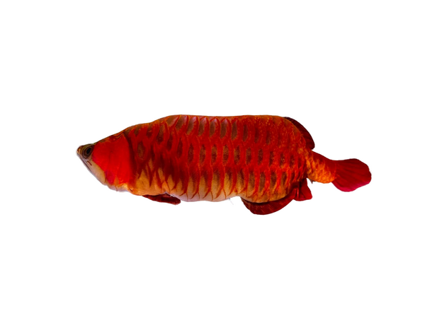 Игрушка мягкая Красная Аравана