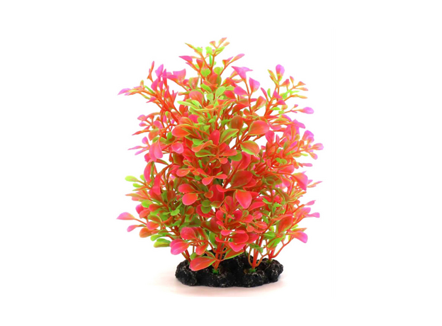 Растение пластиковое Aquanimal Гигрофила оранжевая, 9x5x18 см