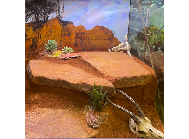 Террариумный комплект "Плато Кайбаб"