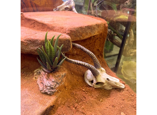 Террариумный комплект "Плато Кайбаб"