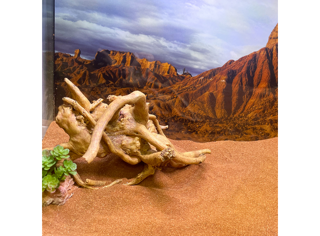 Террариумный комплект "Плато Кайбаб"