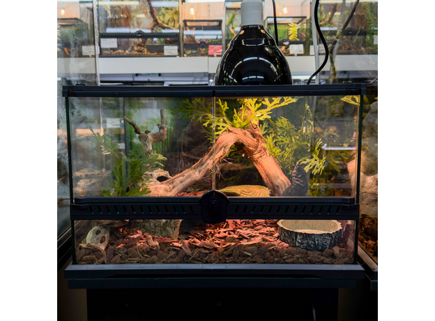 Террариумный комплект "Ихвильнихт"