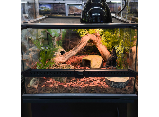 Террариумный комплект "Ихвильнихт"