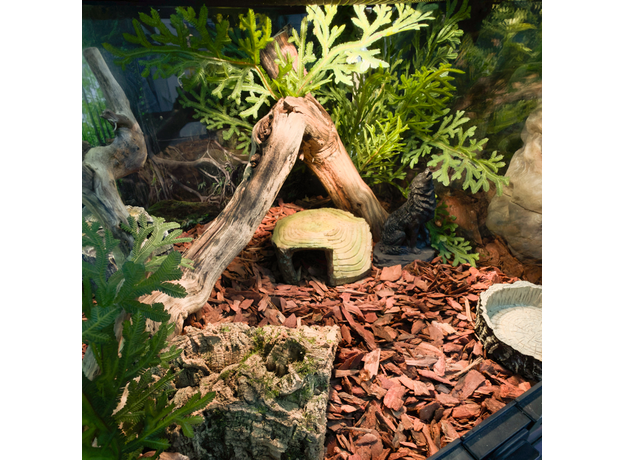 Террариумный комплект "Ихвильнихт"