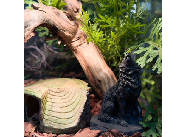 Террариумный комплект "Ихвильнихт"