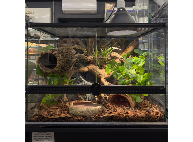 Террариумный комплект "Зелёное дупло"