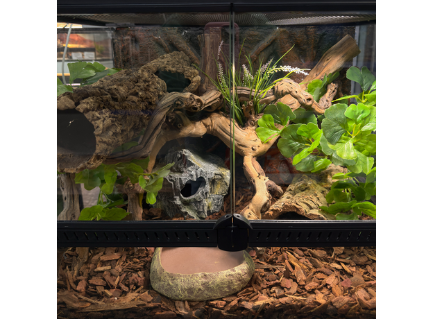 Террариумный комплект "Зелёное дупло"